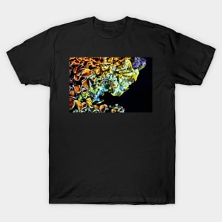 Lichen T-Shirt